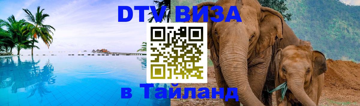 Оформление DTV визы под ключ: стоимость и тарифы, только загранпаспорт - Курск  07.12.2025 